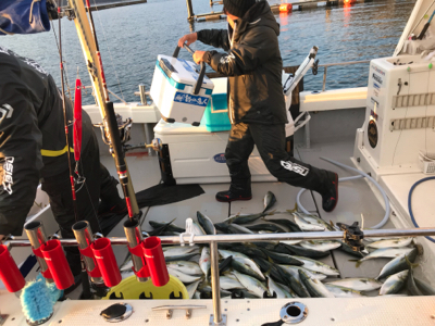 ルアーフィッシング エビス 日本海ジギング