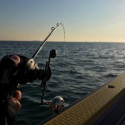 太刀魚ジギング！