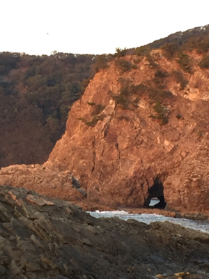 初めての磯