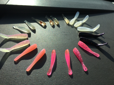 寒くても、、強風でも、、激釣