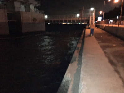 メバル釣れ出しましたね〜