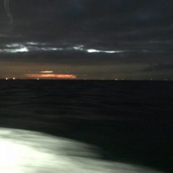 須磨沖の太刀魚