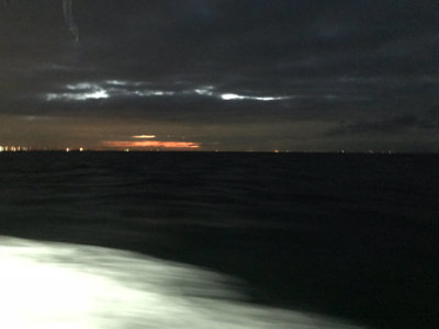 須磨沖の太刀魚