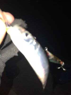 痛恨のフックアウト