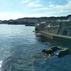 南房総トリップ