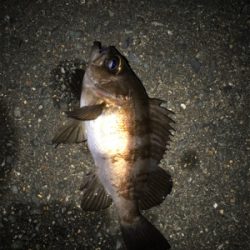 陽が落ちてから。