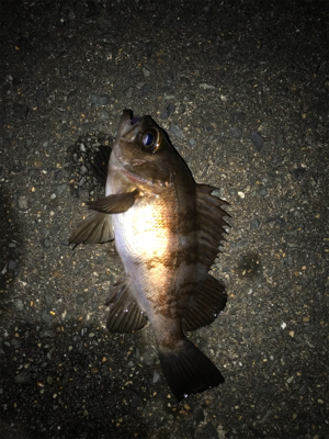 陽が落ちてから。