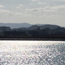 2017釣納め。良いお年を！