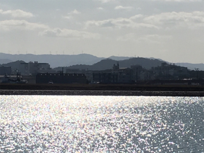 2017釣納め。良いお年を！