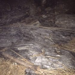 メバル狙いの外道