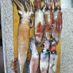 釣り納めイカメタル