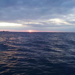 大洋丸ジギング