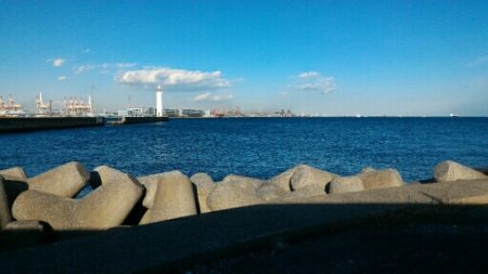 ムラソイ&ガシラポンポン