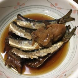 カワハギ面白すぎ!