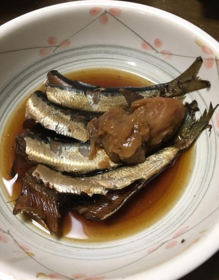 マイワシの呑ませ釣行