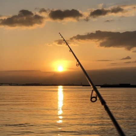 マイクロックフィッシュ