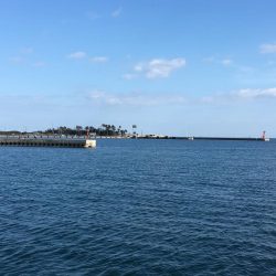 釣り納めにガシラ散策