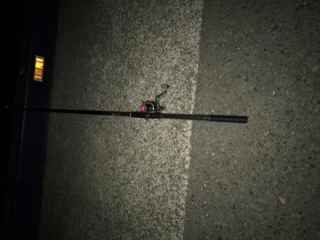 ホンマ、久しぶりですわ!