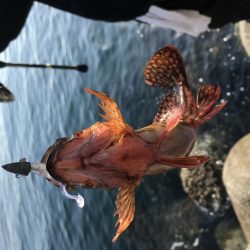 あたりが欲しくて！