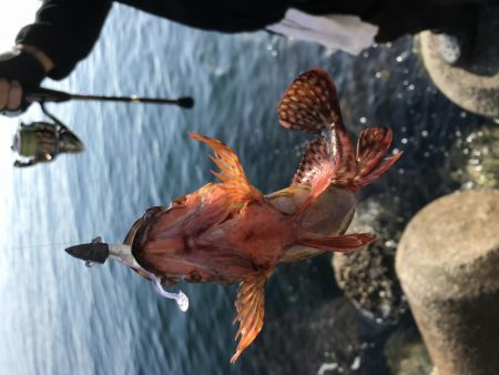 あたりが欲しくて！