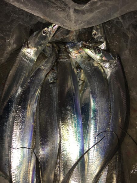 これがフラップ釣法の独壇場！！