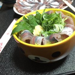 サビキで良型イワシ!!