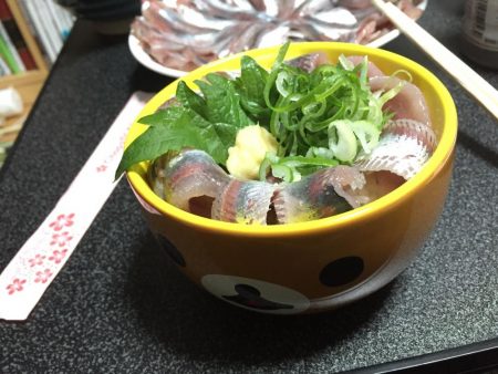 サビキで良型イワシ!!