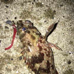 奴らは意外と足元に…