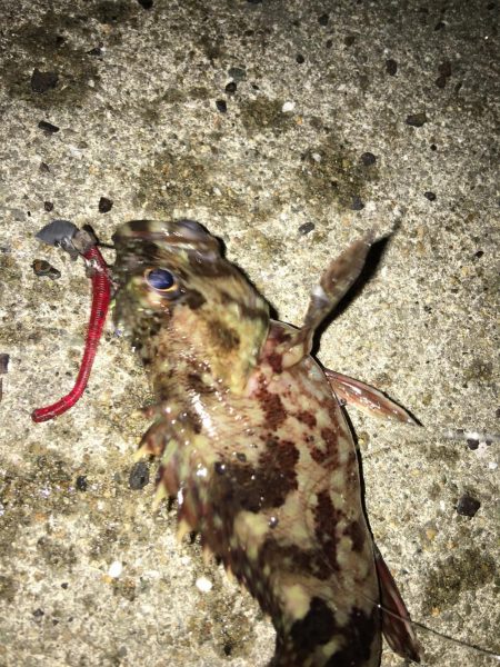 奴らは意外と足元に…