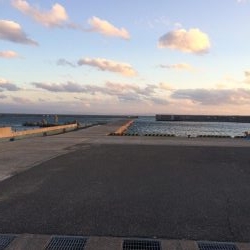 根魚釣り