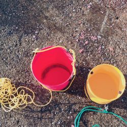 12月初の！！！ アイツ。