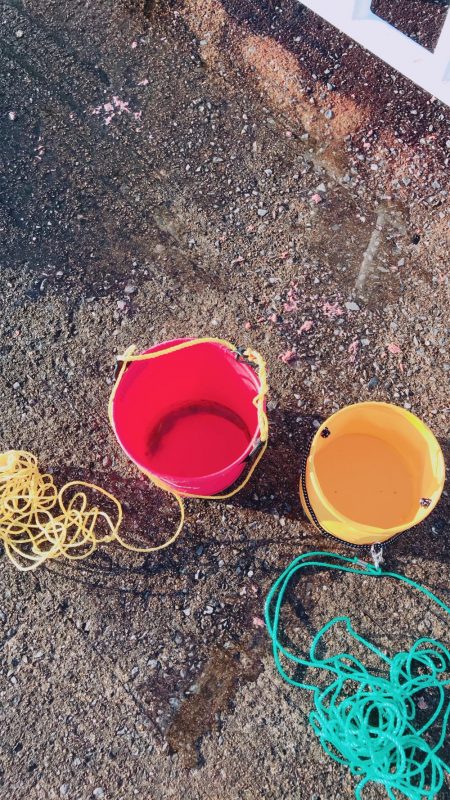 12月初の！！！ アイツ。