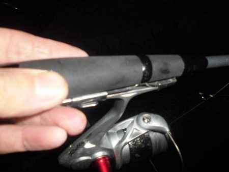 ガッシー20cm↑2匹 黒ソイ18cmくらい獲ったどぉ