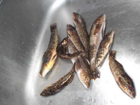 久しぶりの　市役所裏