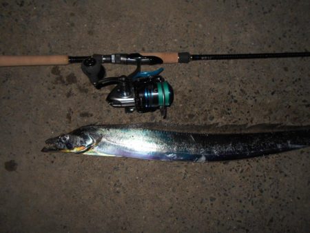 バイブで攻略(淀川シーバス釣行)。