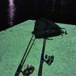 ちょい投げでハゼ釣り