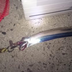 アジング&ワインド&ショアジギング