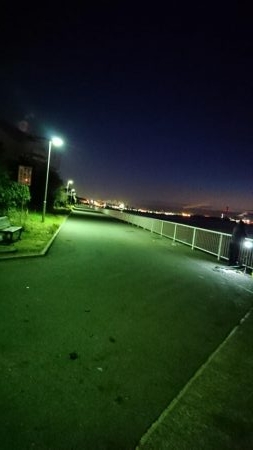 タチウオ釣ってみたい(;_;)