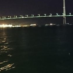 やっと釣れた\(^^)/