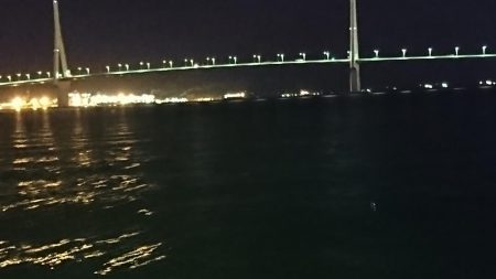 やっと釣れた\(^^)/