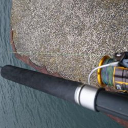 ちゃいちいタッチ－