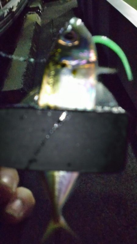 スローアジング