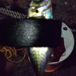 スーパームーンアジング