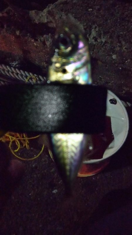 スーパームーンアジング