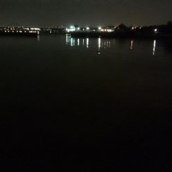 根魚が食べたくて