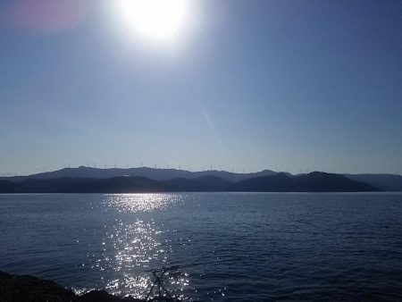 なぎ丸渡船でアオリ狙いがハマチGET