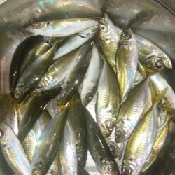 南蛮漬け(予定)