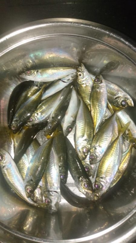 南蛮漬け(予定)