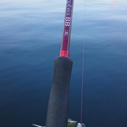 タチウオ求めて湾奥へ