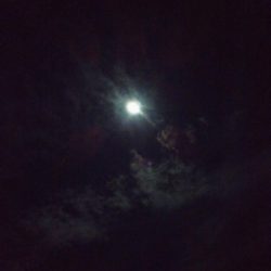 久しぶりのアジング